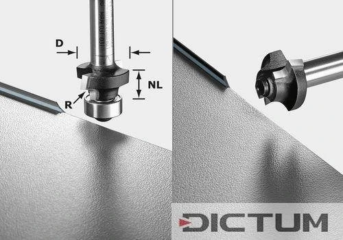 Festool Fraise à Moulurer S8 HW R2 D20-KL OFK